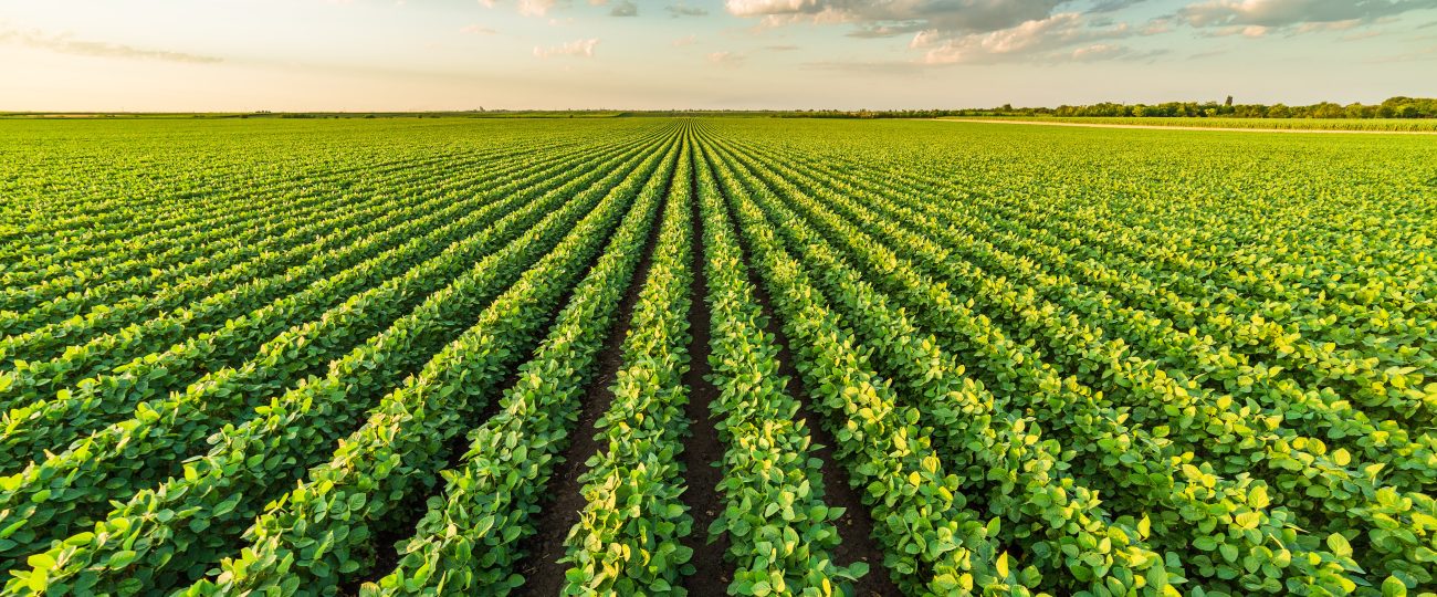 UPL anuncia parceria Brasil com Elemental Enzymes para trazer inovação ao Brasil