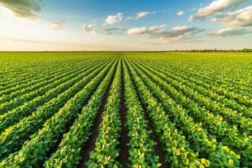 UPL anuncia parceria Brasil com Elemental Enzymes para trazer inovação ao Brasil